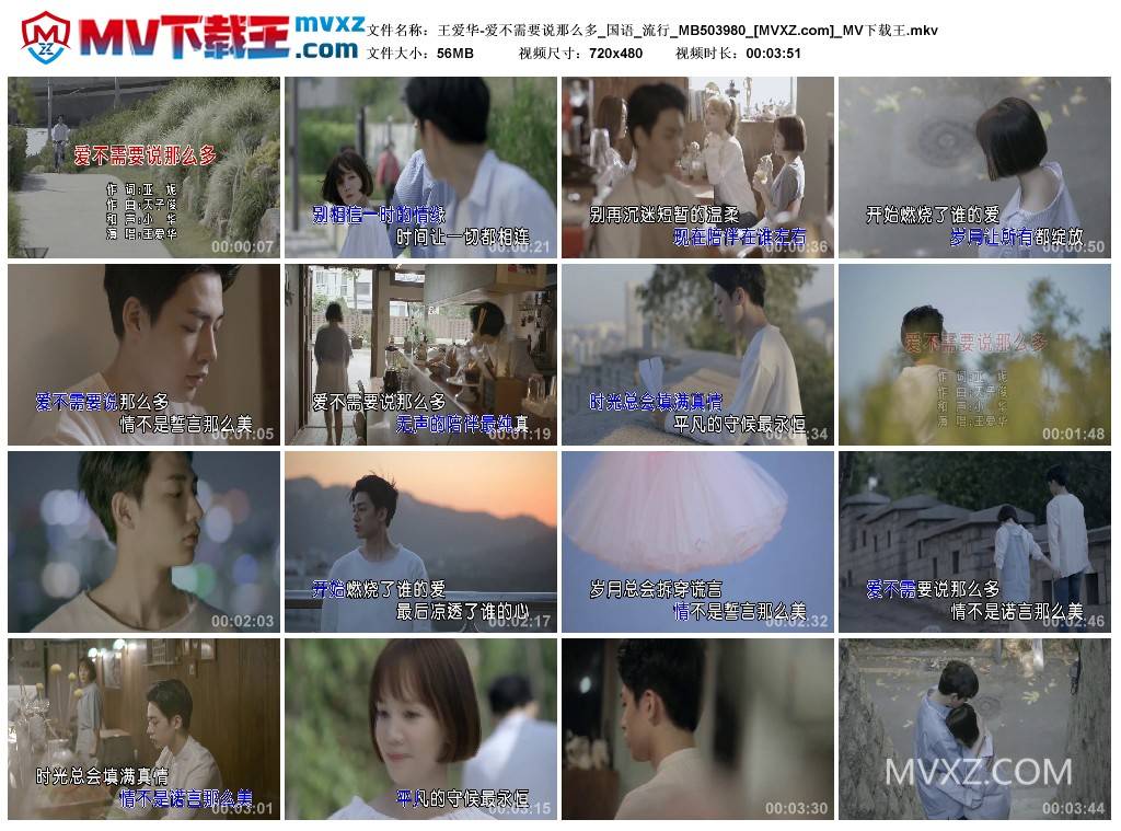 王爱华-爱不需要说那么多_国语_流行_MB503980